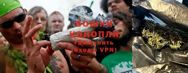 индика Ханты-Мансийск