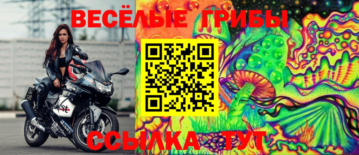 Галлюциногенные грибы Psilocybe  Псилоцибиновые грибы прущие грибы  где купить наркотик  Арзамас  Вход с VPN 